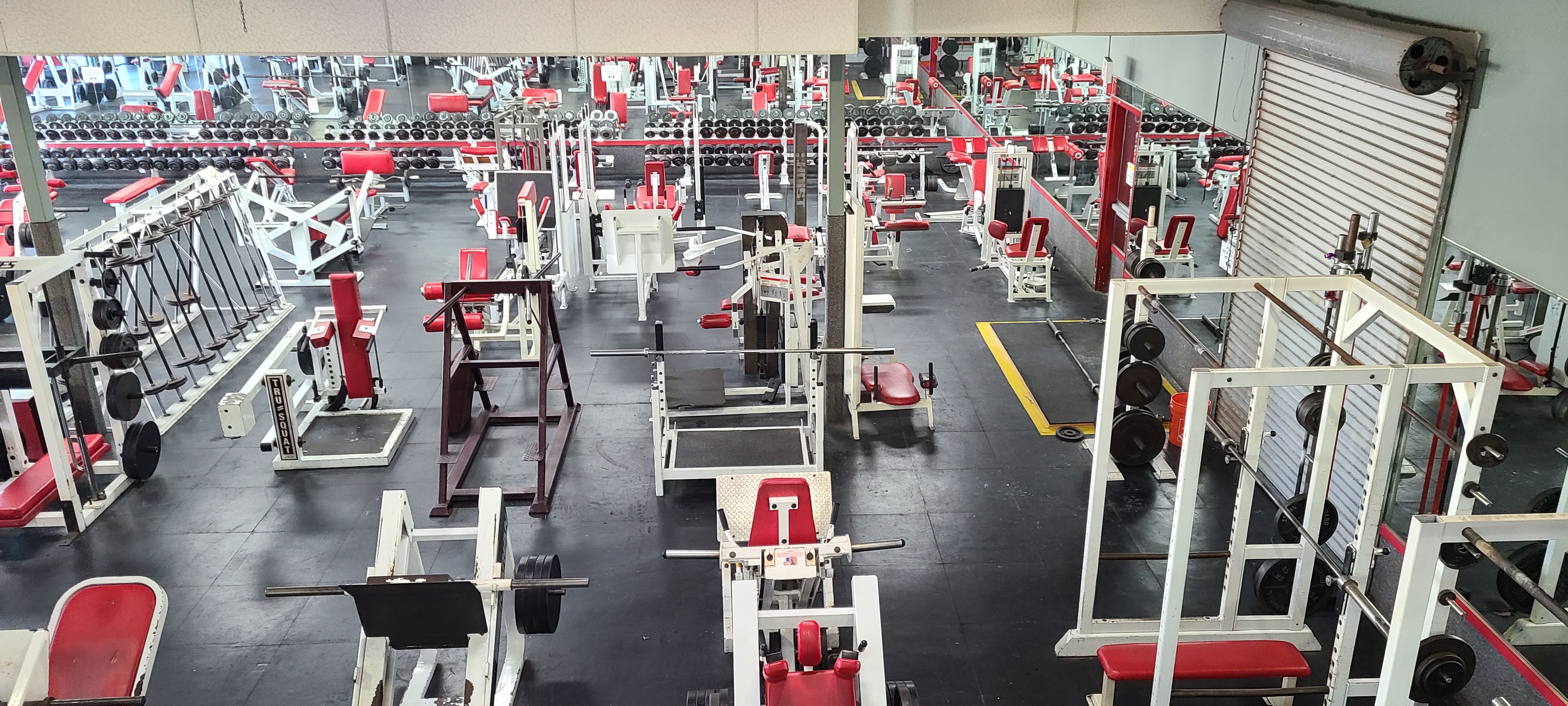Chest isolation machines and benches in the main training room.