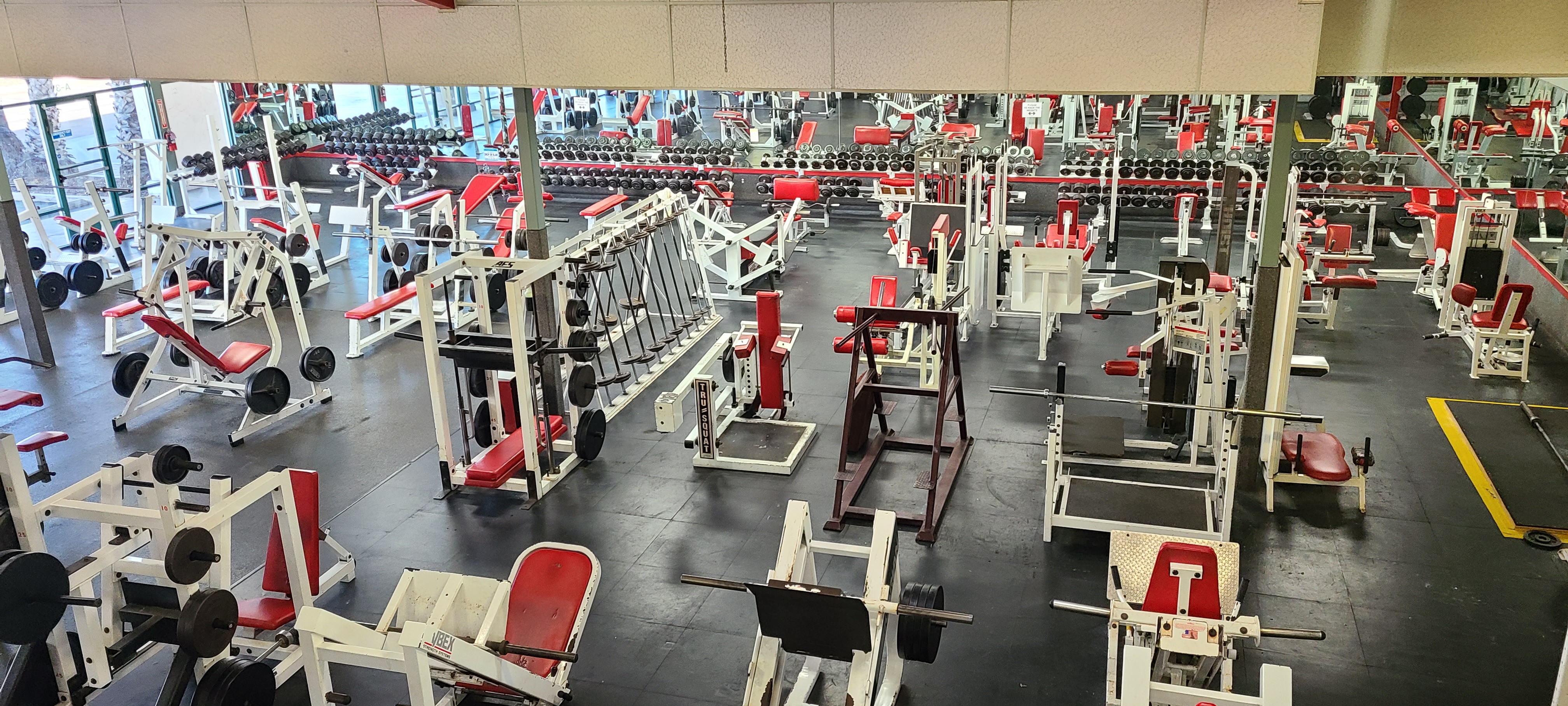 A row of vintage strength machines across the gym floor.