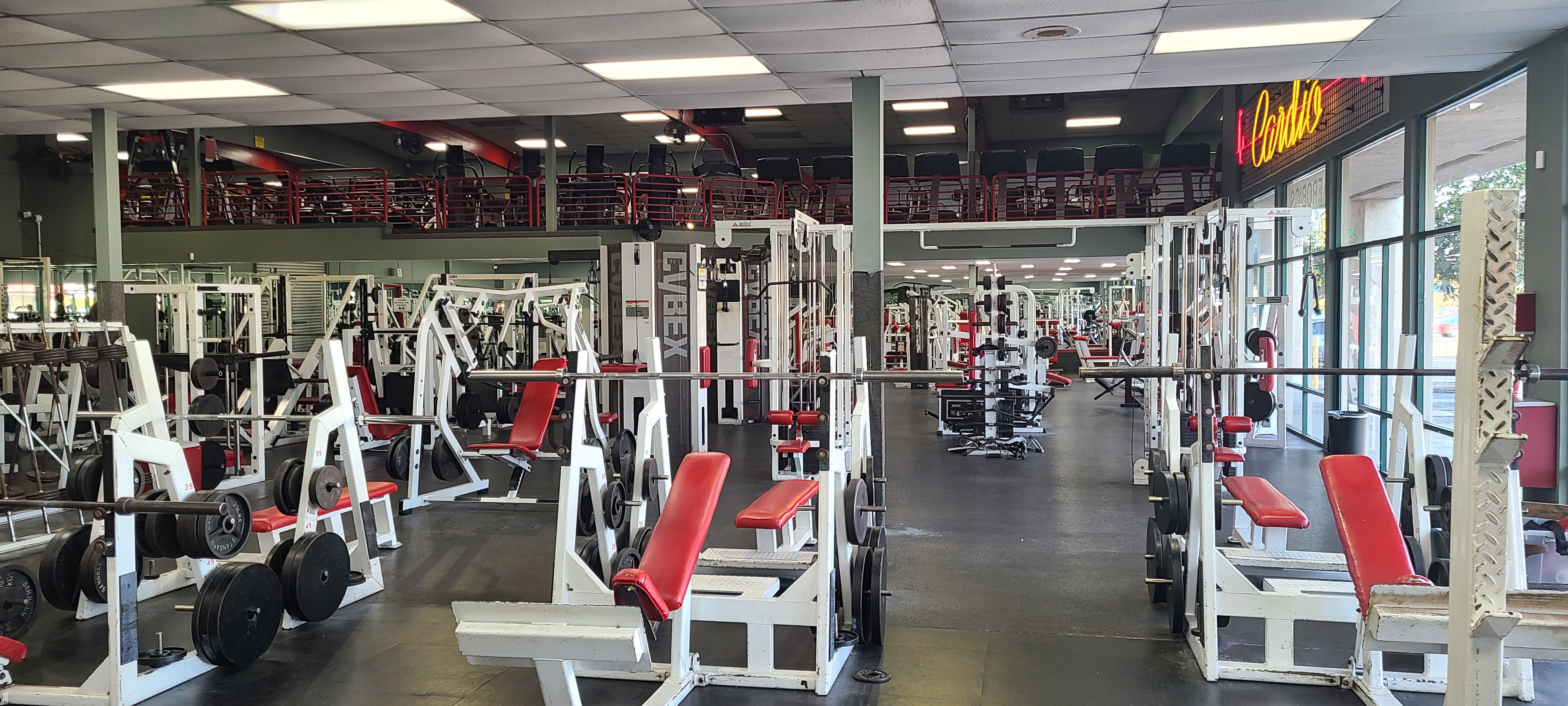 The free-weight floor with benches, racks and mirrored walls.