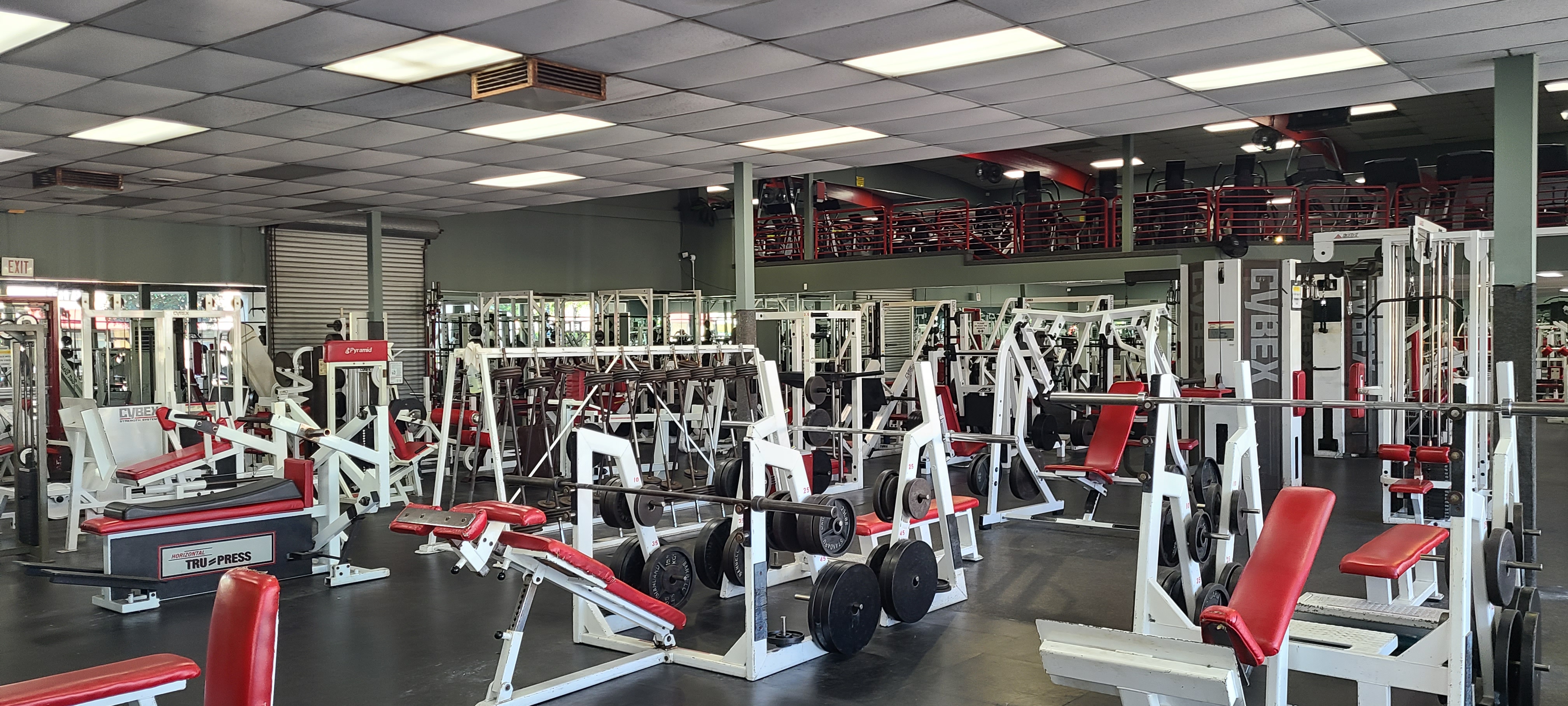 A strength training area with benches and loaded equipment at Ultimate Fitness.
